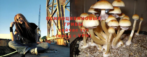 apvp Алексеевка
