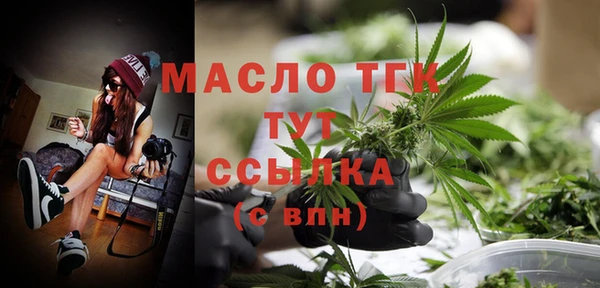 крисы Абаза