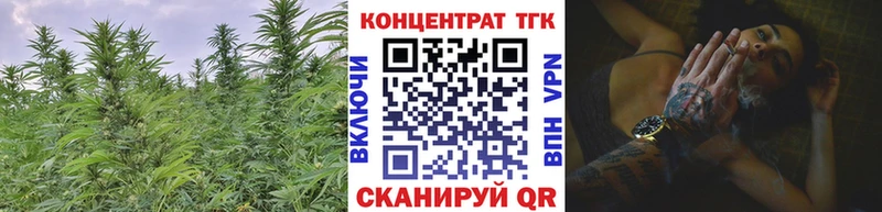 ТГК Wax  маркетплейс какой сайт  Ефремов 