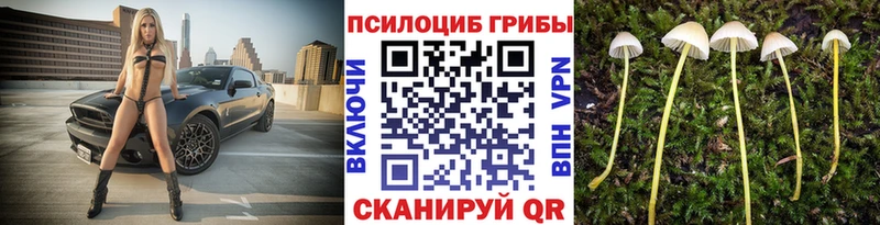 Псилоцибиновые грибы MAGIC MUSHROOMS  купить закладку  Ефремов 