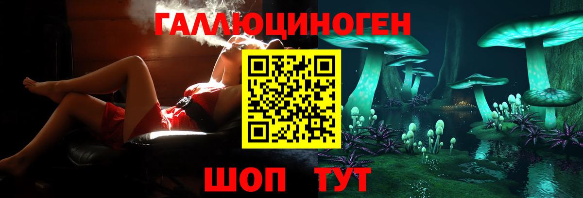 Псилоцибиновые грибы Psilocybe Ефремов